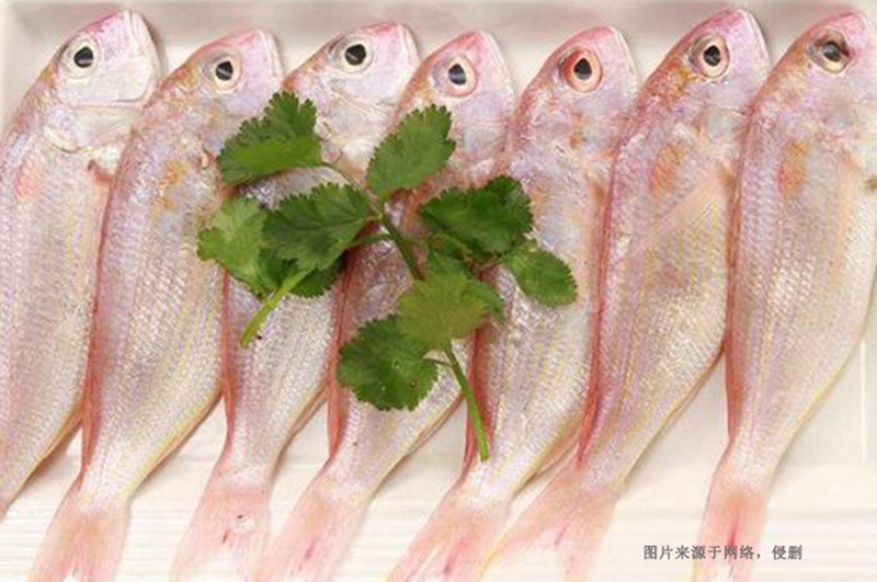 越南冷凍魚進(jìn)口清關(guān)資料到深圳代理胡志明海運案例